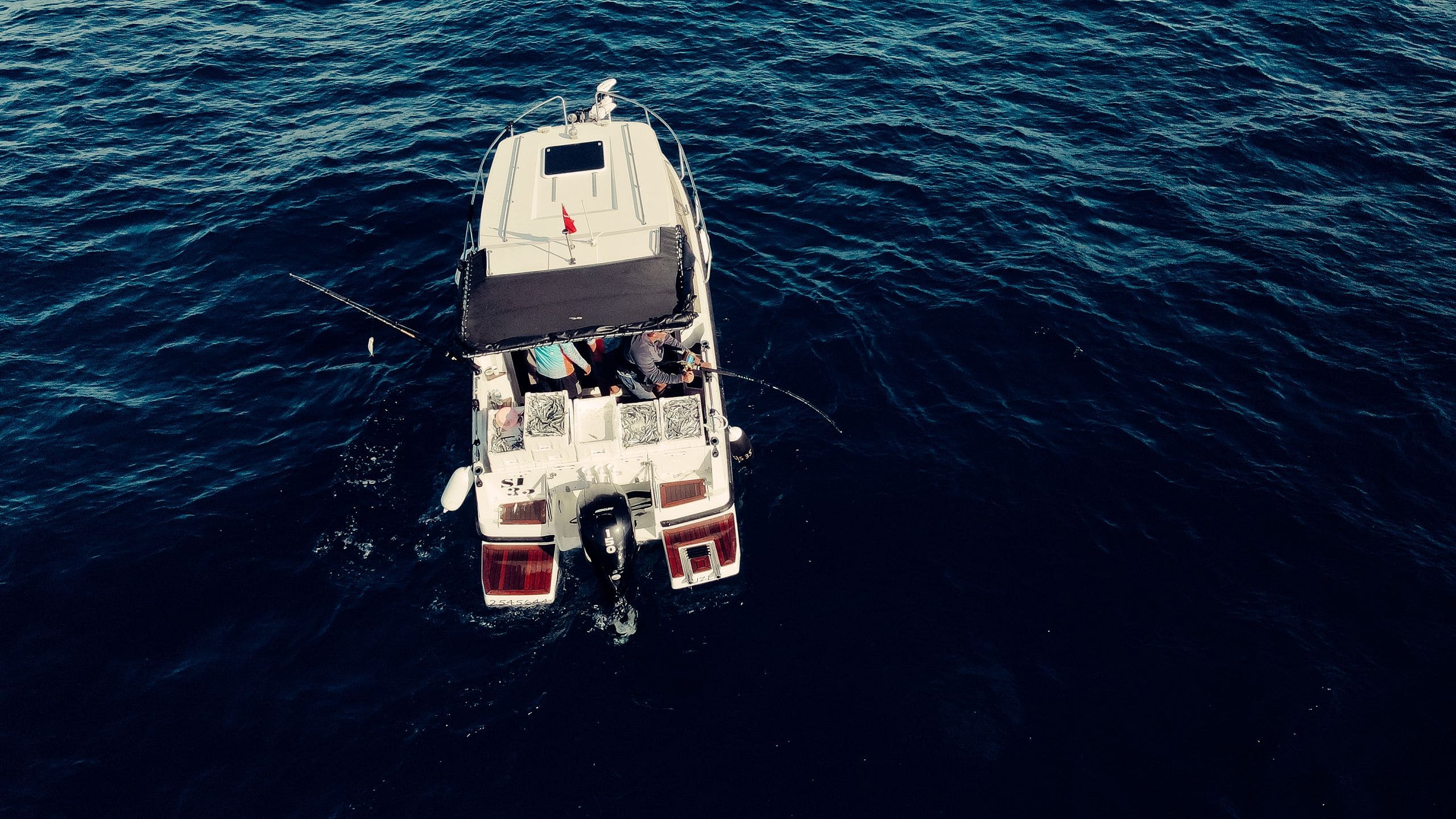 An angler working a heavy fishing rod off the stern of a sportfishing charter on open water